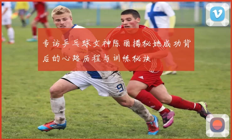 专访乒乓球女神陈丽揭秘她成功背后的心路历程与训练秘诀