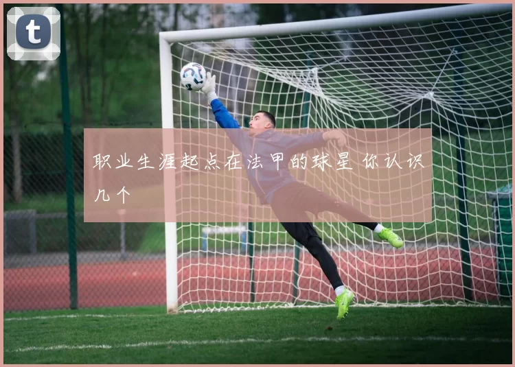职业生涯起点在法甲的球星 你认识几个