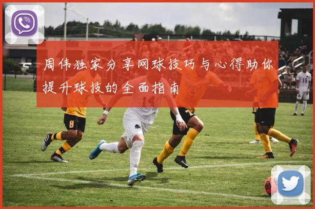 周伟独家分享网球技巧与心得助你提升球技的全面指南