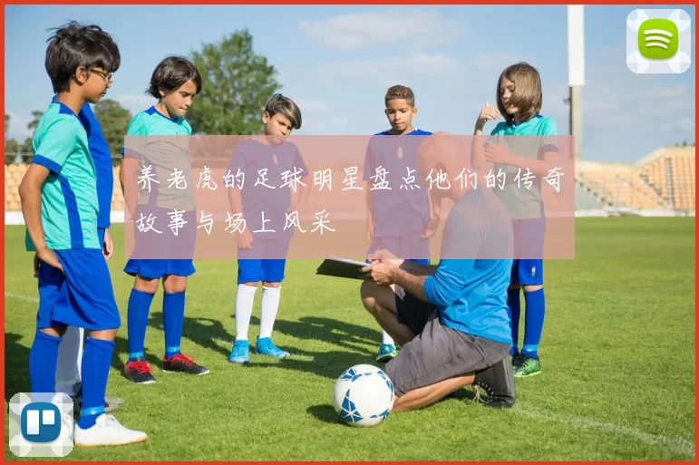 养老虎的足球明星盘点他们的传奇故事与场上风采
