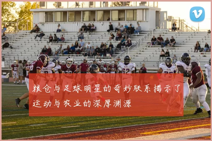 粮仓与足球明星的奇妙联系揭示了运动与农业的深厚渊源