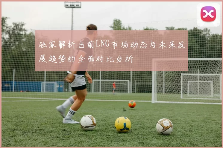 独家解析当前LNG市场动态与未来发展趋势的全面对比分析