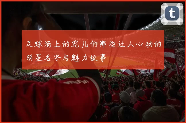 足球场上的宠儿们那些让人心动的明星名字与魅力故事