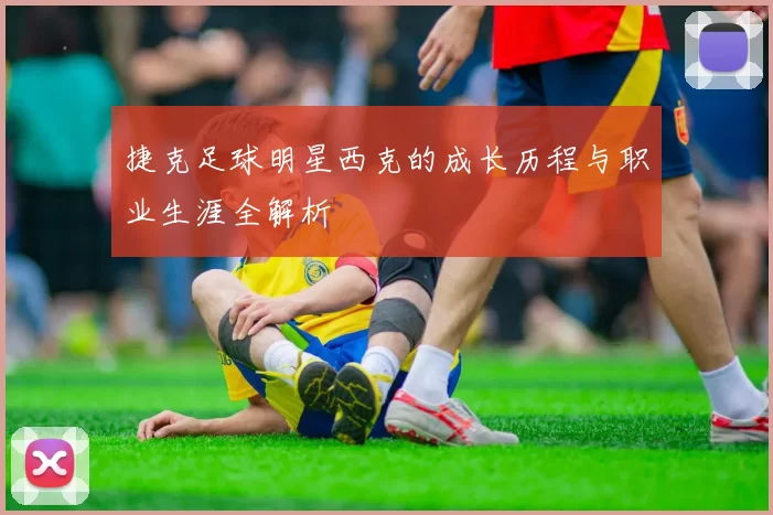捷克足球明星西克的成长历程与职业生涯全解析