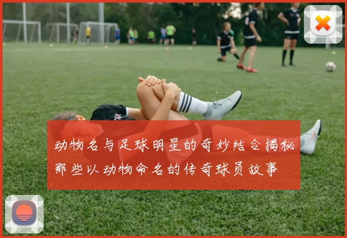 动物名与足球明星的奇妙结合揭秘那些以动物命名的传奇球员故事