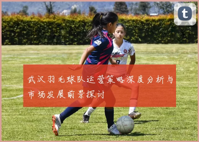 武汉羽毛球队运营策略深度分析与市场发展前景探讨