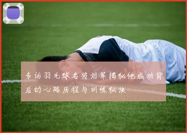 专访羽毛球名将刘军揭秘他成功背后的心路历程与训练秘诀