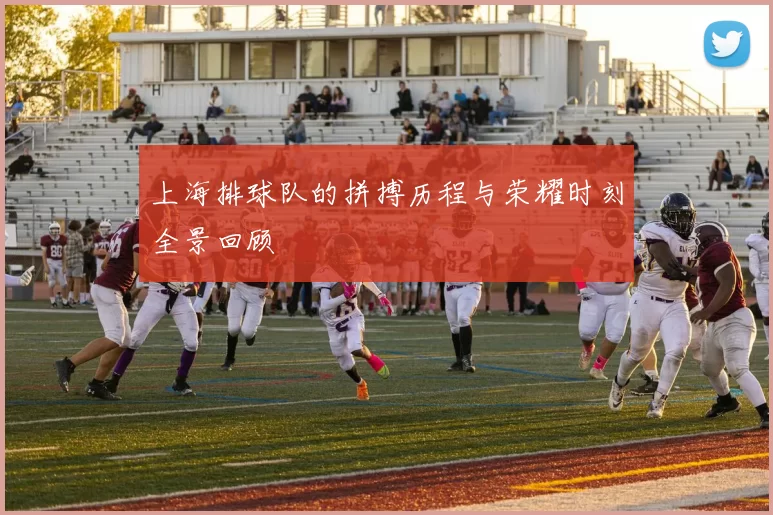 上海排球队的拼搏历程与荣耀时刻全景回顾