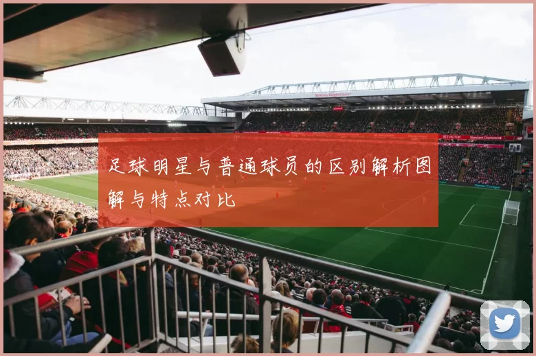足球明星与普通球员的区别解析图解与特点对比