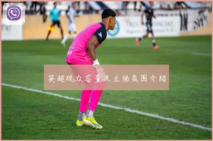 英超观众容量及主场氛围介绍