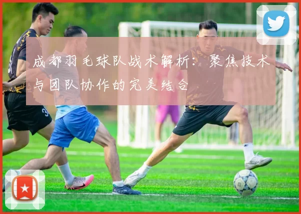 成都羽毛球队战术解析：聚焦技术与团队协作的完美结合