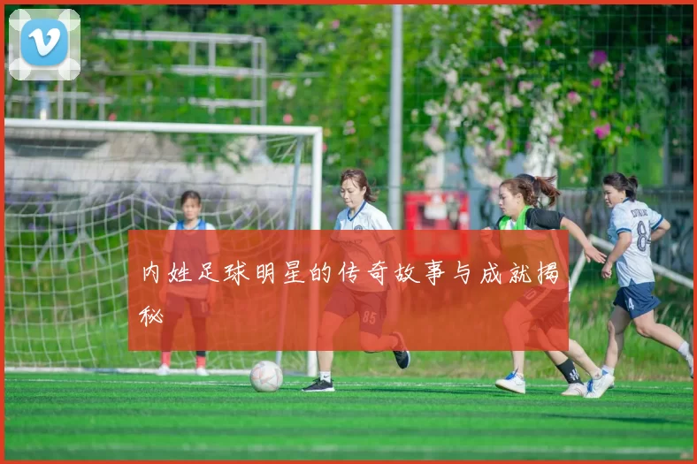 内姓足球明星的传奇故事与成就揭秘