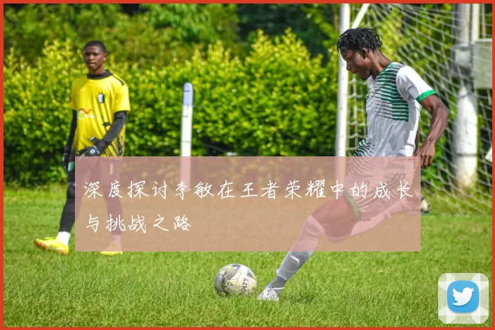 深度探讨李敏在王者荣耀中的成长与挑战之路