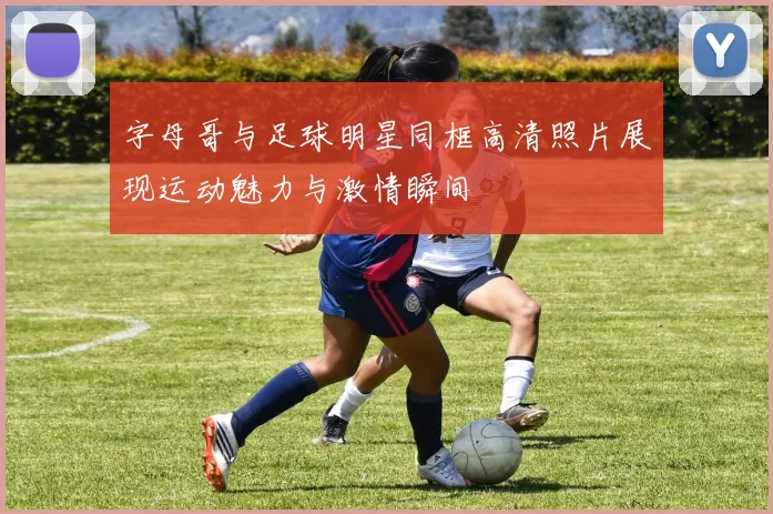 字母哥与足球明星同框高清照片展现运动魅力与激情瞬间