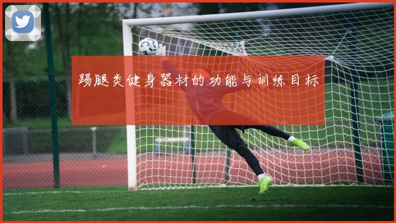 踢腿类健身器材的功能与训练目标