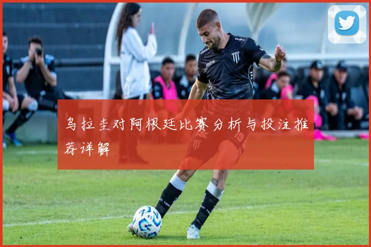 乌拉圭对阿根廷比赛分析与投注推荐详解