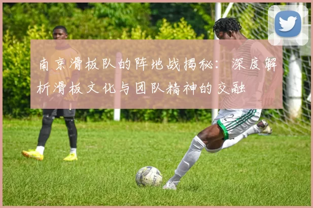 南京滑板队的阵地战揭秘：深度解析滑板文化与团队精神的交融