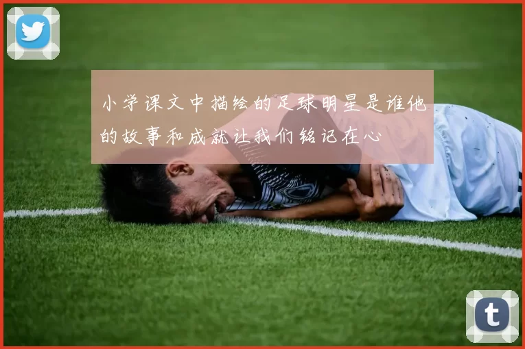 小学课文中描绘的足球明星是谁他的故事和成就让我们铭记在心
