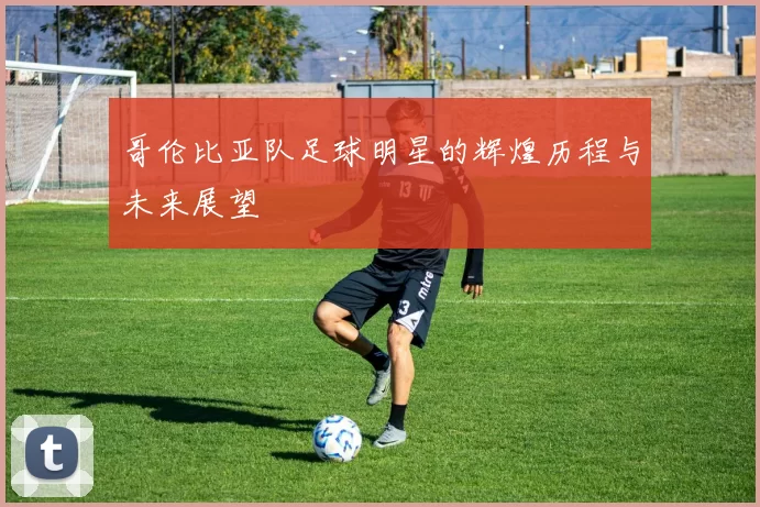哥伦比亚队足球明星的辉煌历程与未来展望