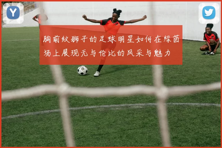 胸前纹狮子的足球明星如何在绿茵场上展现无与伦比的风采与魅力