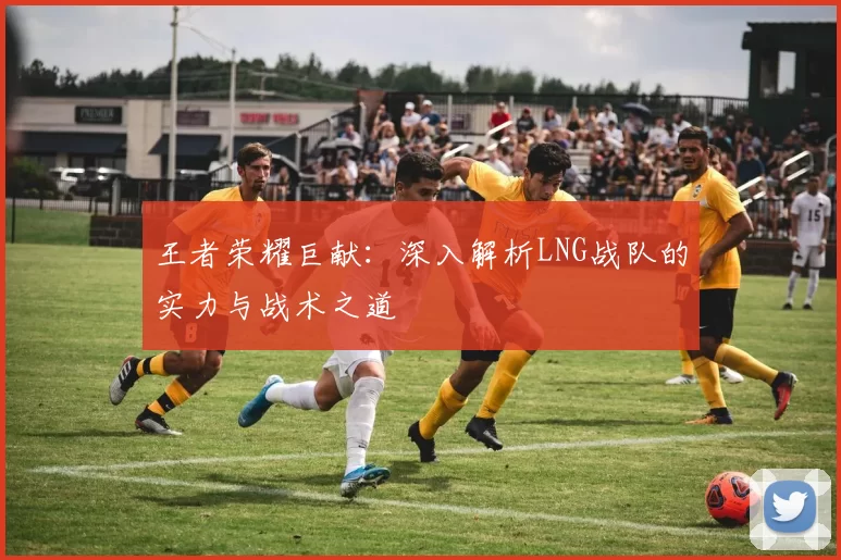 王者荣耀巨献：深入解析LNG战队的实力与战术之道