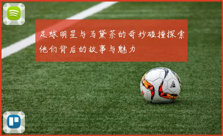 足球明星与马黛茶的奇妙碰撞探索他们背后的故事与魅力