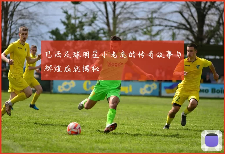 巴西足球明星小老虎的传奇故事与辉煌成就揭秘