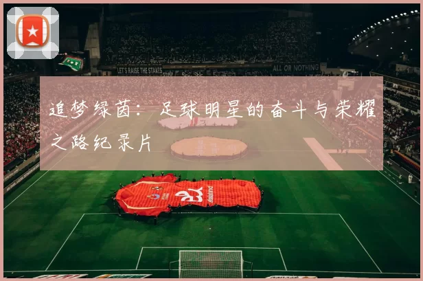 追梦绿茵：足球明星的奋斗与荣耀之路纪录片