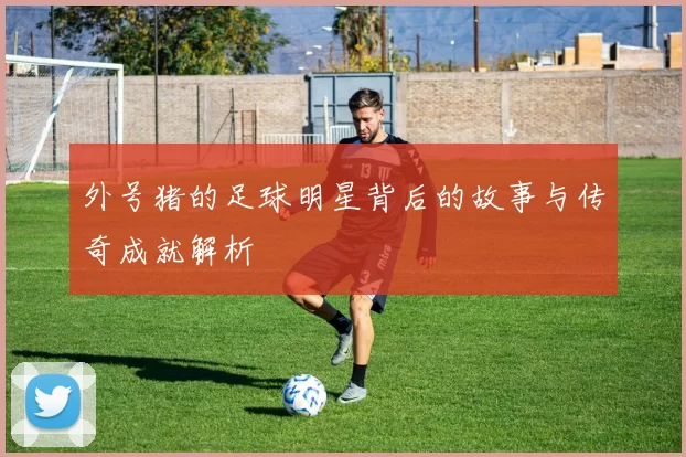 外号猪的足球明星背后的故事与传奇成就解析