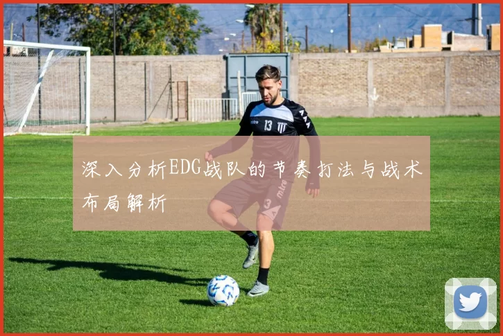 深入分析EDG战队的节奏打法与战术布局解析