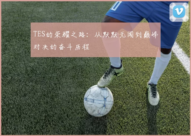 TES的荣耀之路：从默默无闻到巅峰对决的奋斗历程