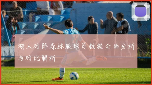 湖人对阵森林狼球员数据全面分析与对比解析