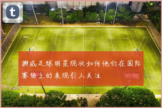 挪威足球明星现状如何他们在国际赛场上的表现引人关注