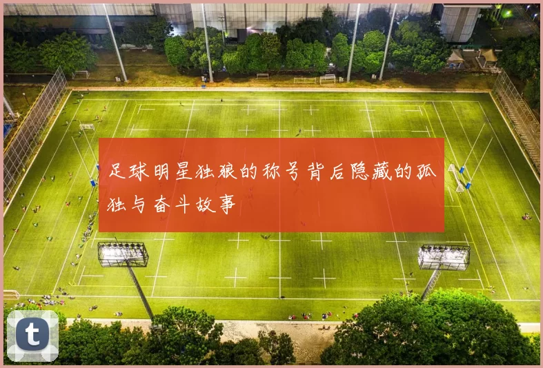 足球明星独狼的称号背后隐藏的孤独与奋斗故事