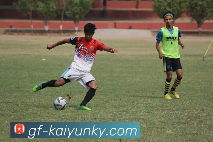 开云入口APP 封面图